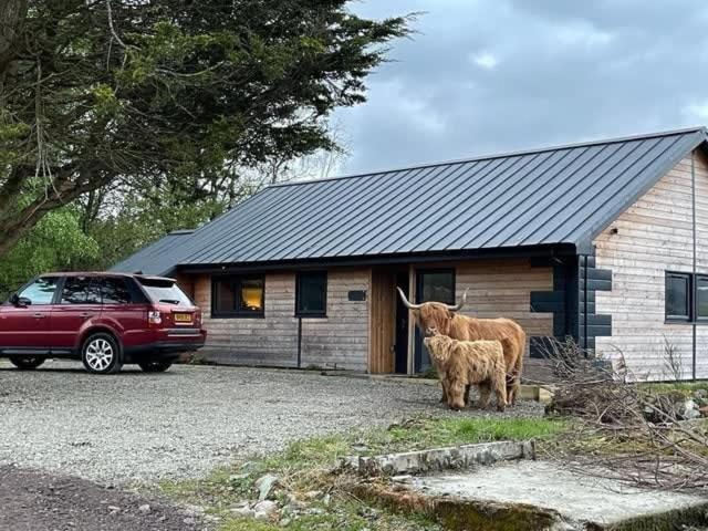 New Build Lodge With Stunning Views Of Loch Awe Hayfield  Экстерьер фото